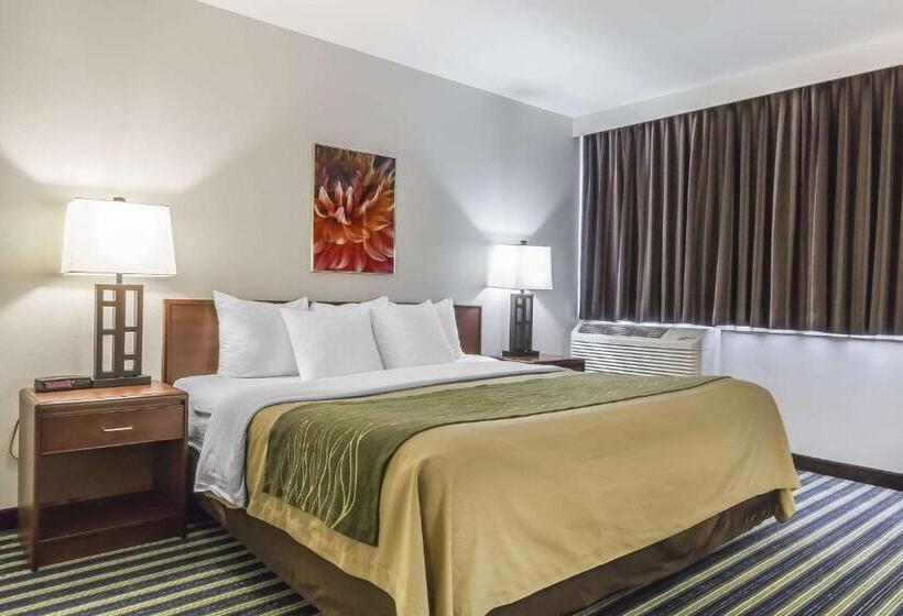 キングサイズベッドのスイートルーム, Comfort Inn & Suites