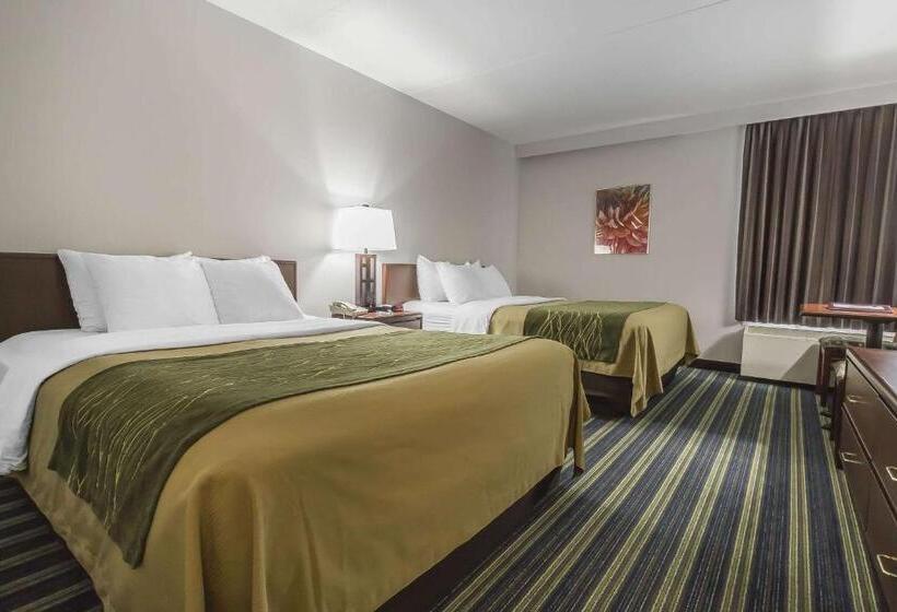 Номер Стандарт, Comfort Inn & Suites