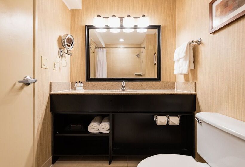 Номер Стандарт, Crowne Plaza Newark Airport, An Ihg