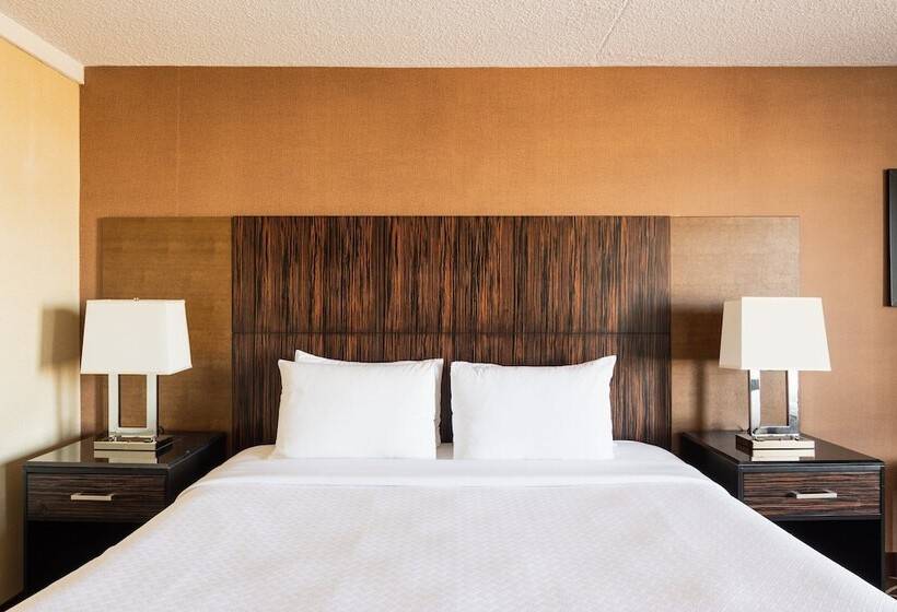 Номер Стандарт, Crowne Plaza Newark Airport, An Ihg