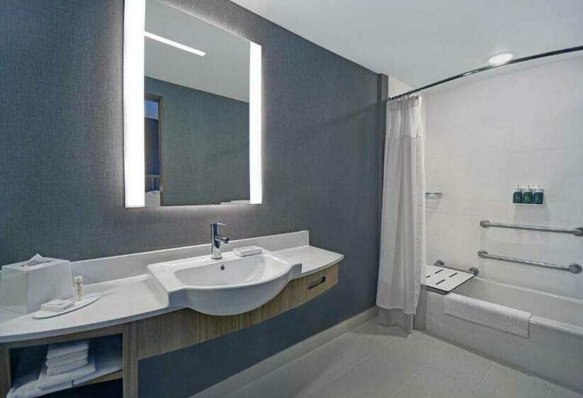 스위트 킹사이즈 침대, Springhill Suites By Marriott St. Paul Arden Hills