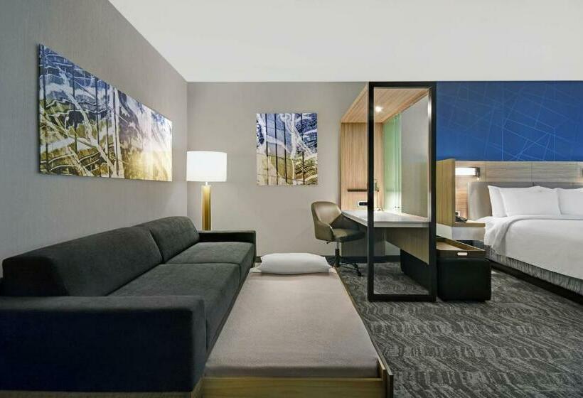 스위트 킹사이즈 침대, Springhill Suites By Marriott St. Paul Arden Hills