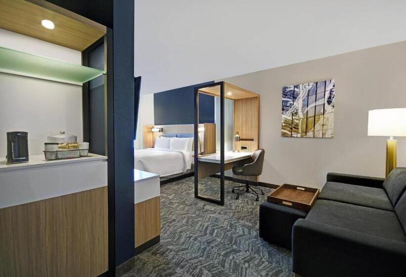 스위트 킹사이즈 침대, Springhill Suites By Marriott St. Paul Arden Hills