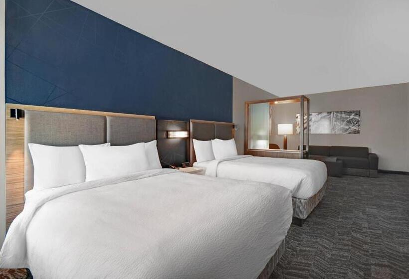 스위트, Springhill Suites By Marriott St. Paul Arden Hills