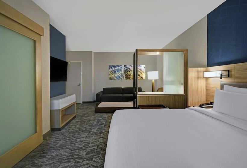 스위트, Springhill Suites By Marriott St. Paul Arden Hills