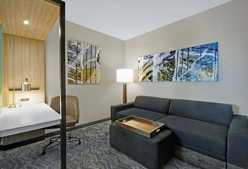 스위트, Springhill Suites By Marriott St. Paul Arden Hills