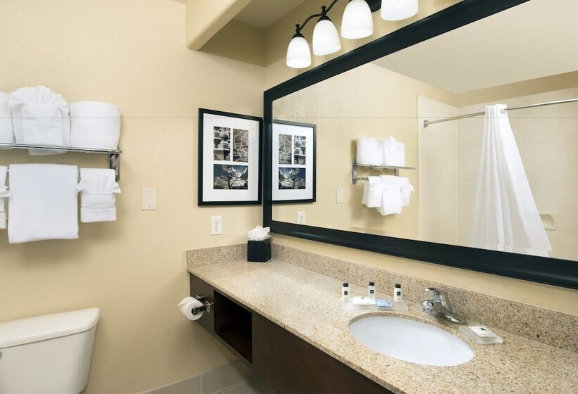 Suite, Country Inn & Suites By Radisson, Houston Intercontinental Airport East, Tx