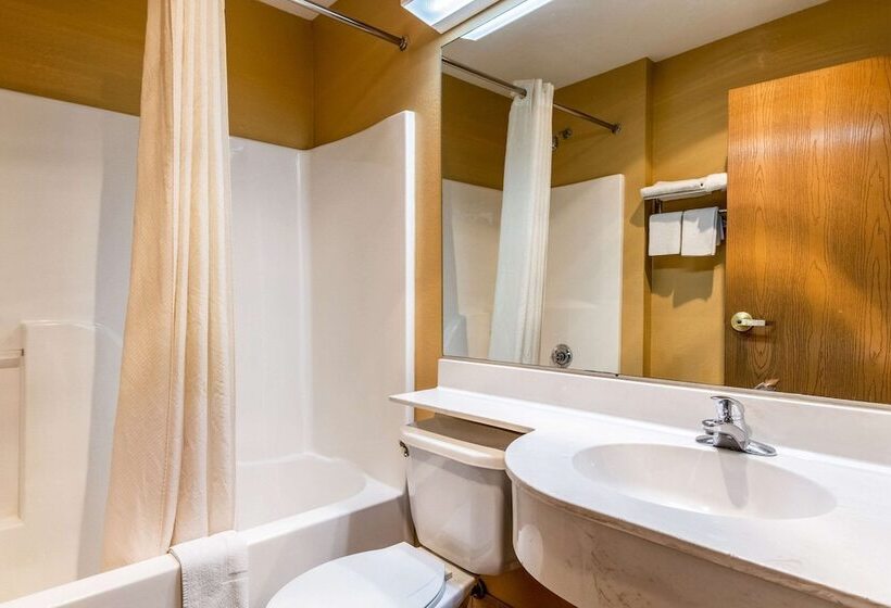 Suite, Econo Lodge Inn & Suites Evansville