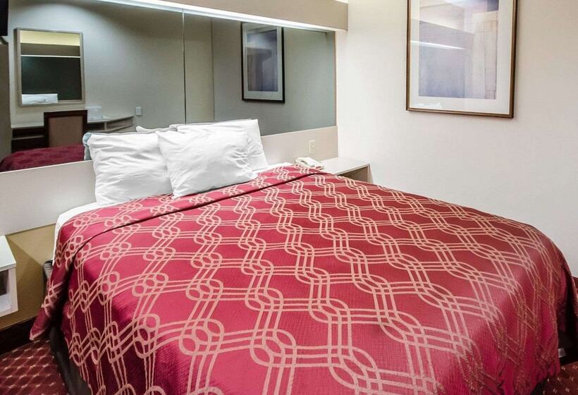 Suite, Econo Lodge Inn & Suites Evansville