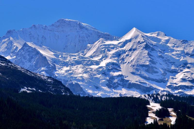 اتاق استاندارد با بالکن, Edelweiss