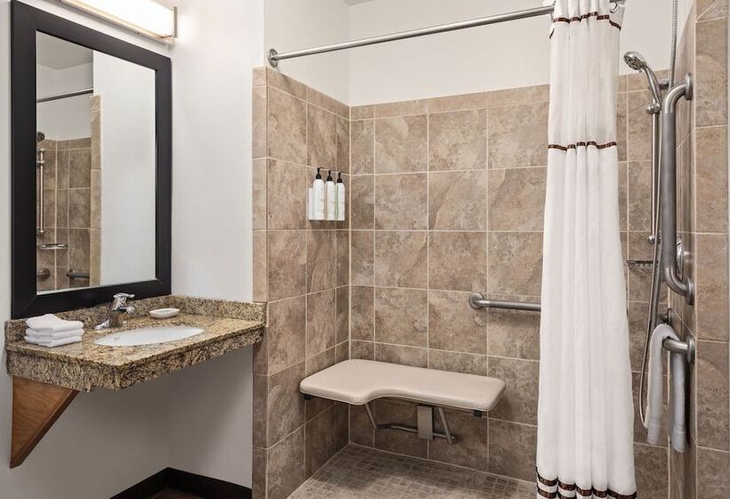 스탠다드 스튜디오 더블 침대, Towneplace Suites By Marriott Minneapolis Downtown/north Loop