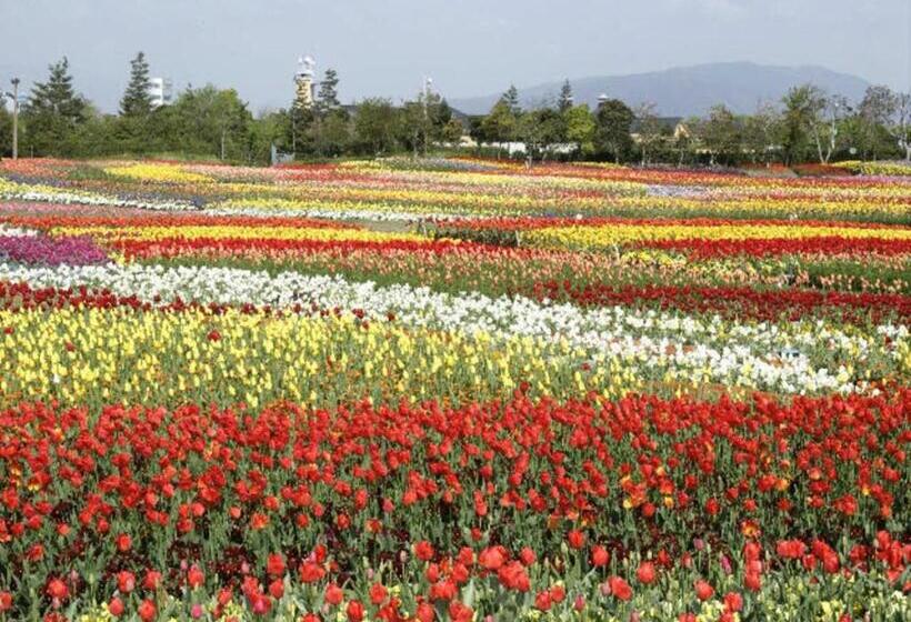 스탠다드 스튜디오, Kuwana Park