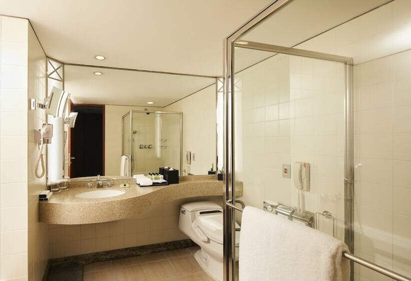 Классический Номер с Видом, Intercontinental Seoul Coex, An Ihg