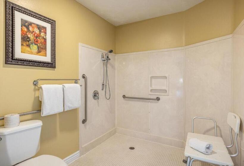 适用于残疾人士的豪华房间, Canyons Boutique Hotel   A Canyons Collection Property
