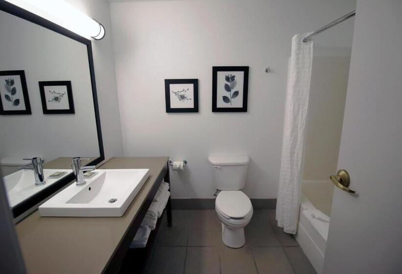 스위트 킹사이즈 침대, Country Inn & Suites By Radisson, Council Bluffs, Ia