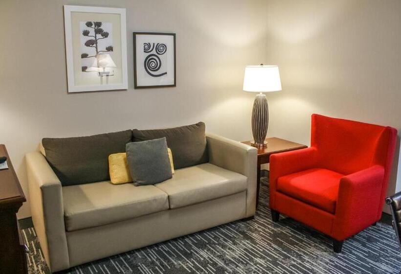 디럭스 스위트 킹 침대, Country Inn & Suites By Radisson, Washington Dulles International Airport, Va