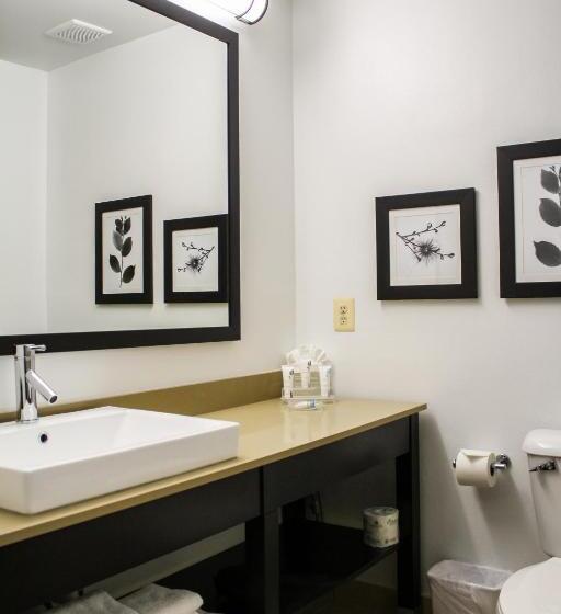 스위트 킹사이즈 침대, Country Inn & Suites By Radisson, Washington Dulles International Airport, Va