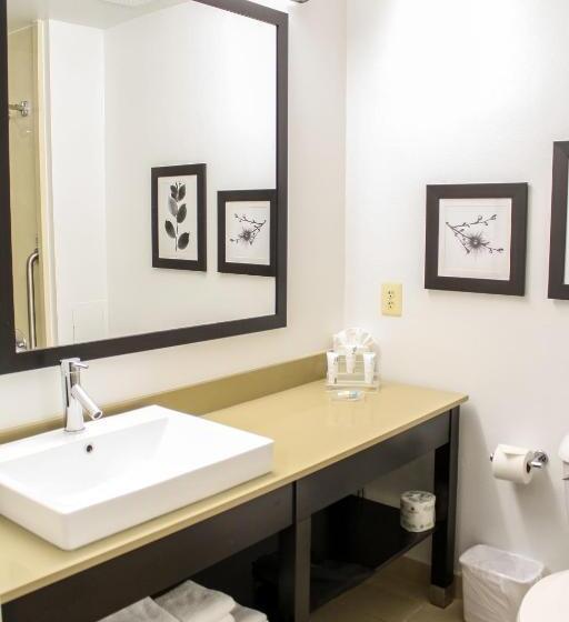 스위트 킹사이즈 침대, Country Inn & Suites By Radisson, Washington Dulles International Airport, Va