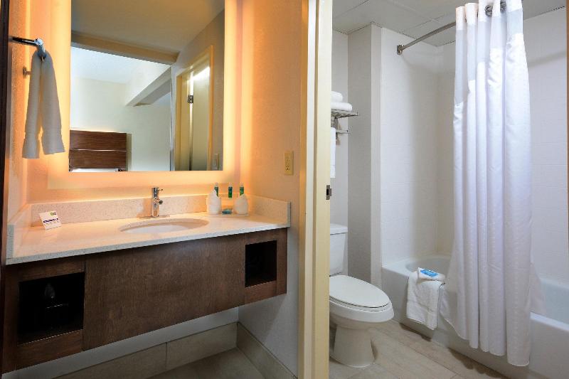 Люкс Кровать Кинг, Holiday Inn Express & Suites Raleigh Durham Airport At Rtp, An Ihg