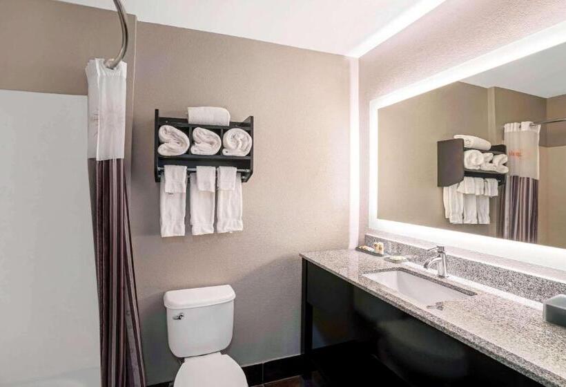 带2个卧室的套房, La Quinta By Wyndham Lebanon