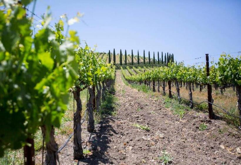 침실 2개 주택, Aterno Vineyard, Guest House