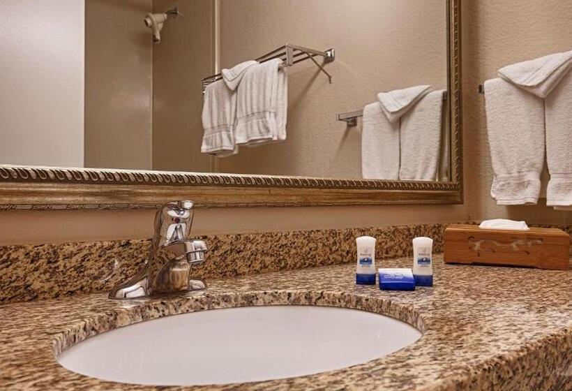 キングサイズベッドのスタンダードルーム, Best Western Plus Chicago Hillside