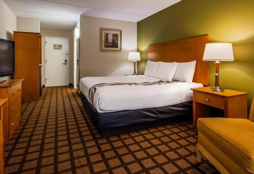 身障者適用キングサイズベッドルーム, Best Western Plus Chicago Hillside