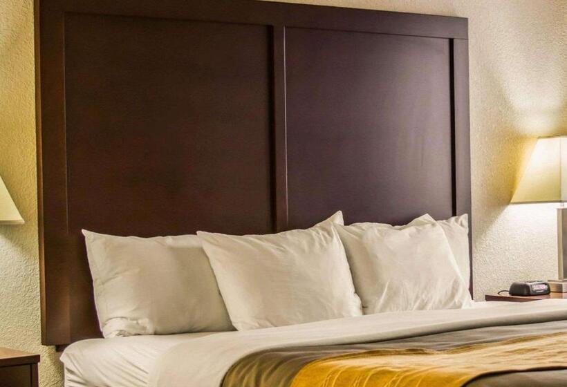 스탠다드 룸 킹사이즈 침대, Comfort Inn