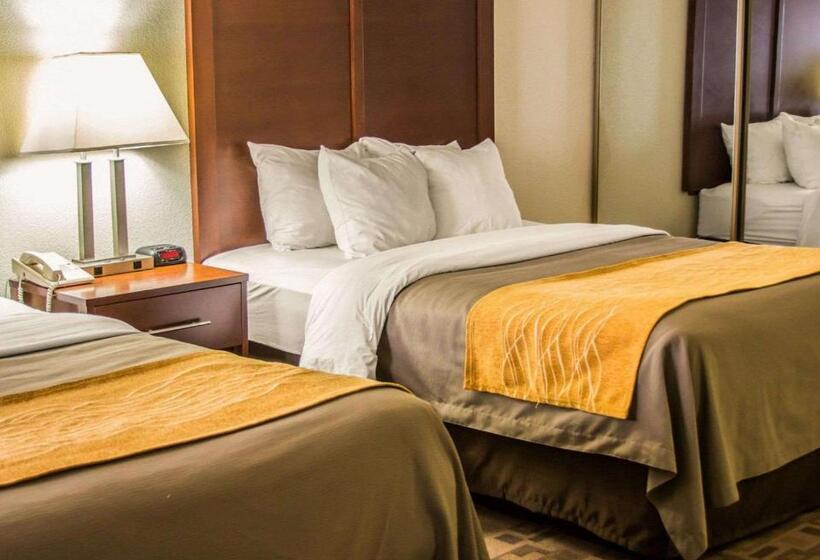 スタンダードルーム, Comfort Inn