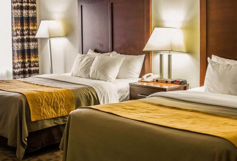 スタンダードルーム, Comfort Inn