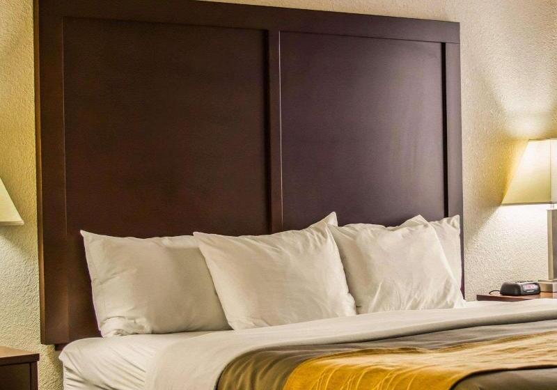 身障者適用キングサイズベッドルーム, Comfort Inn