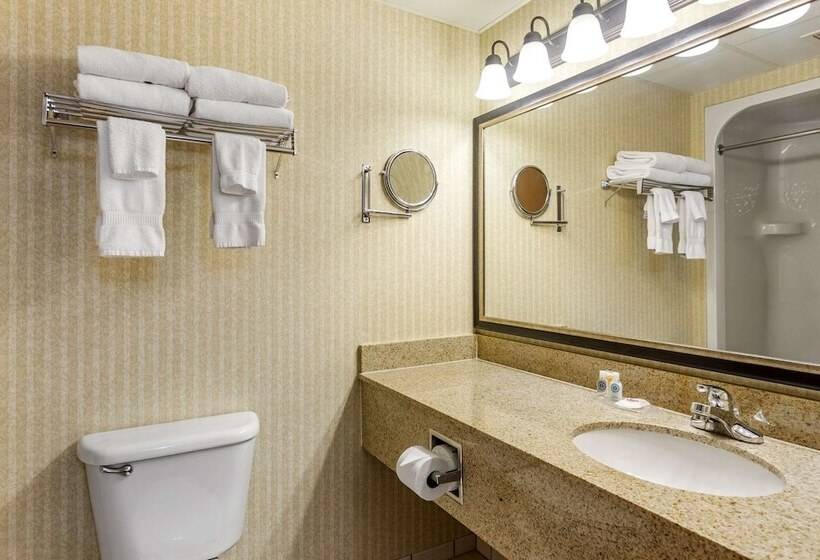 Люкс, Comfort Inn & Suites Branson Meadows
