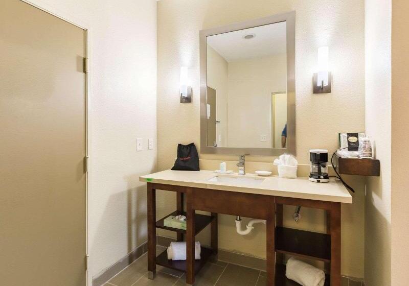 带大床的标准间, Econo Lodge Inn & Suites East Houston I10