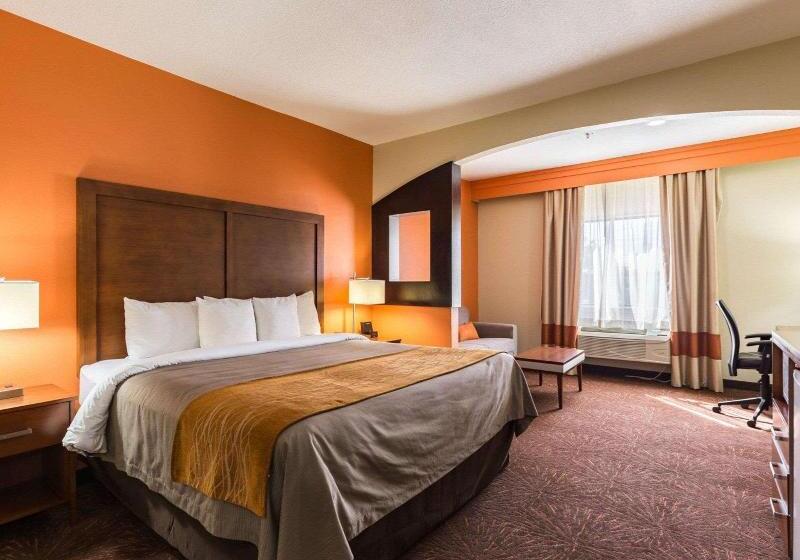 带大床的套房, Econo Lodge Inn & Suites East Houston I10