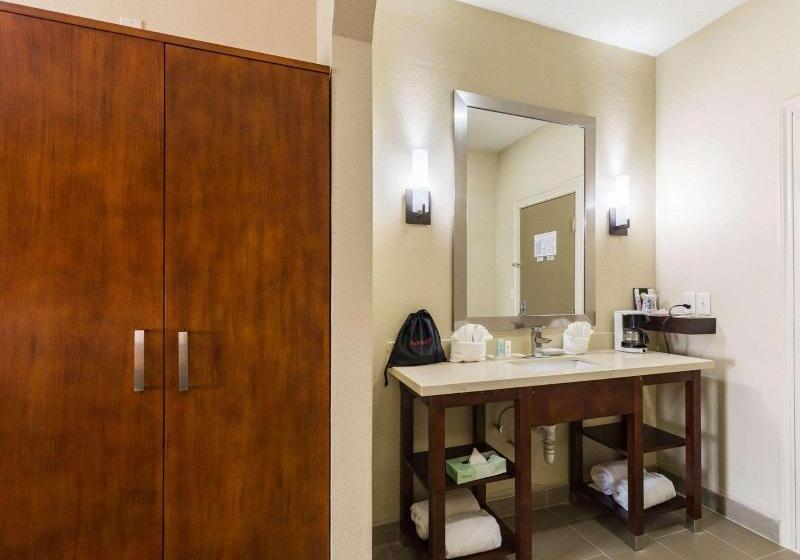 带大床的套房, Econo Lodge Inn & Suites East Houston I10