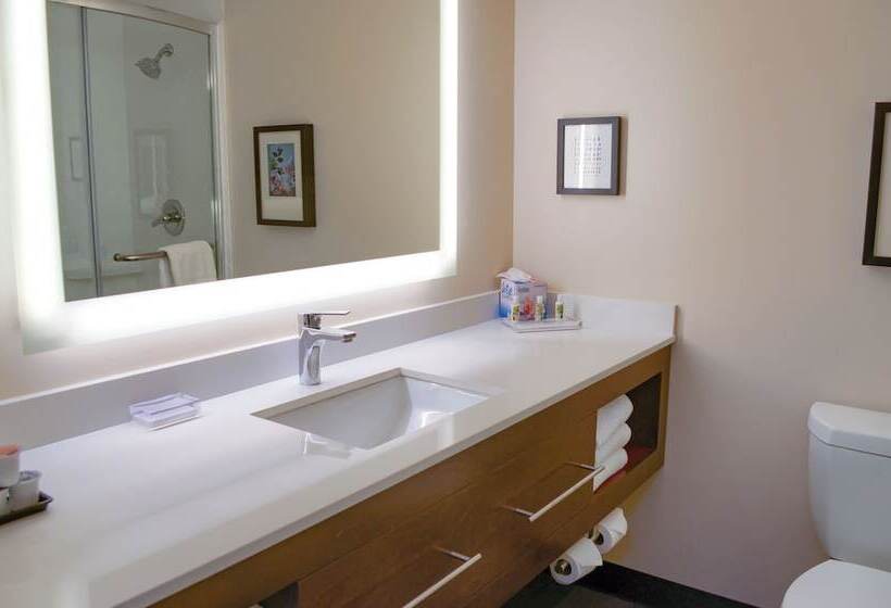 스탠다드 룸, Holiday Inn Mobile West I 10, An Ihg