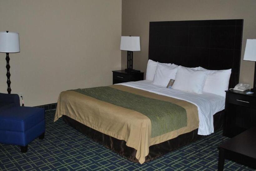 Стандартный Номер Кровать Кинг, Quality Inn