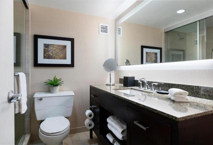 سوئیت اجرایی با تخت کینگ, The Stamford