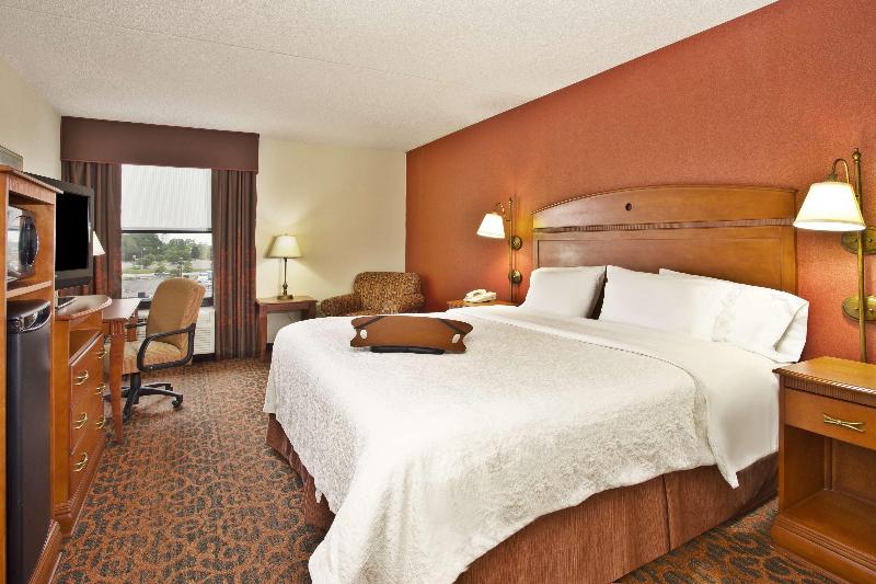 带大床的标准间, Hampton Inn Anderson