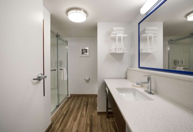 デラックスルーム, Hampton Inn Mchenry