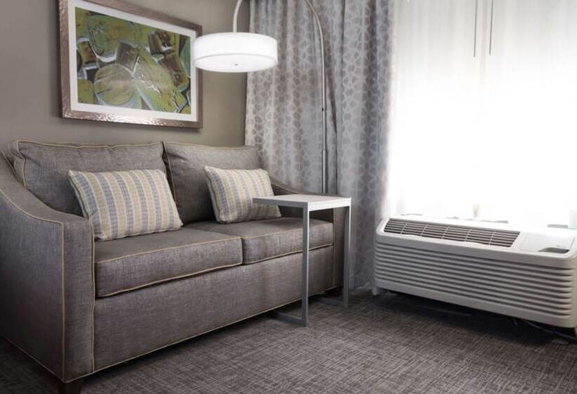 Studio Standard Lit King Size, Hampton Inn & Suites Dallasdfw Airport Northgrapevine