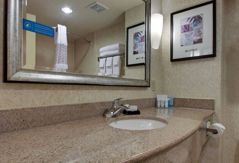 スタンダードルーム, Hampton Inn & Suites Spartanburgi26westgate Mall