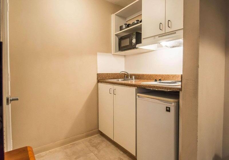 スタンダードルーム, Tampa Bay Extended Stay   Airport