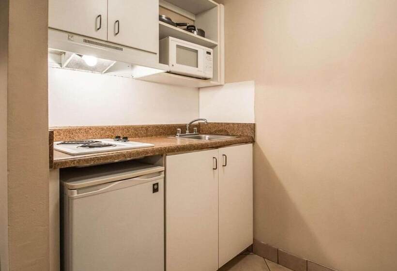スタンダードルーム, Tampa Bay Extended Stay   Airport