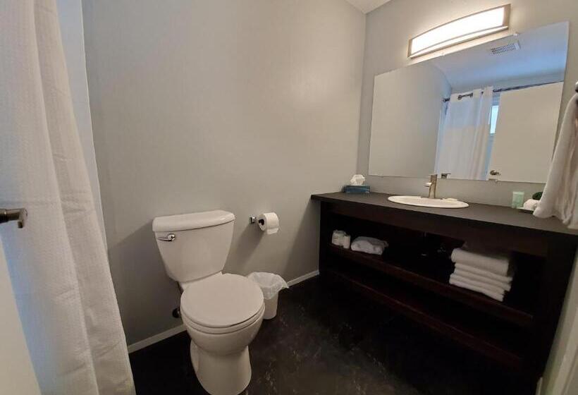 Студия Deluxe, Celadon Lodge