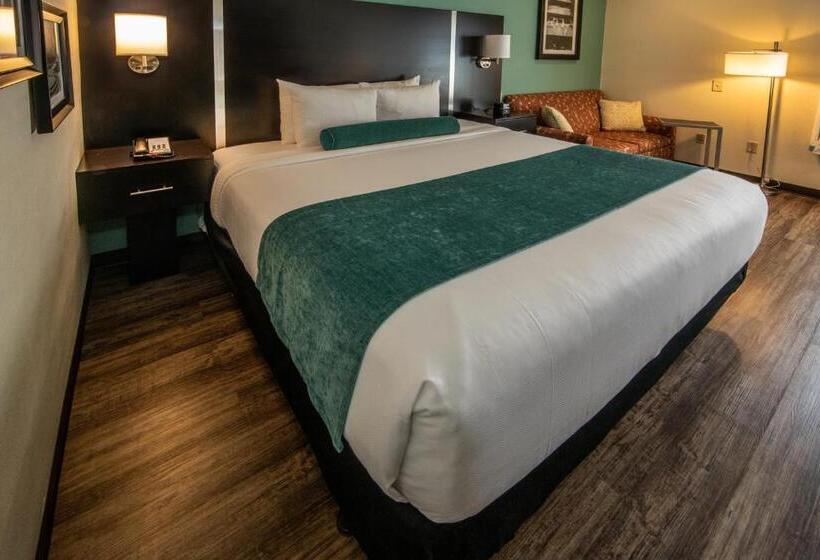 Quarto Estandar Cama King para Deficientes Físicos, City Express by Marriott Duluth