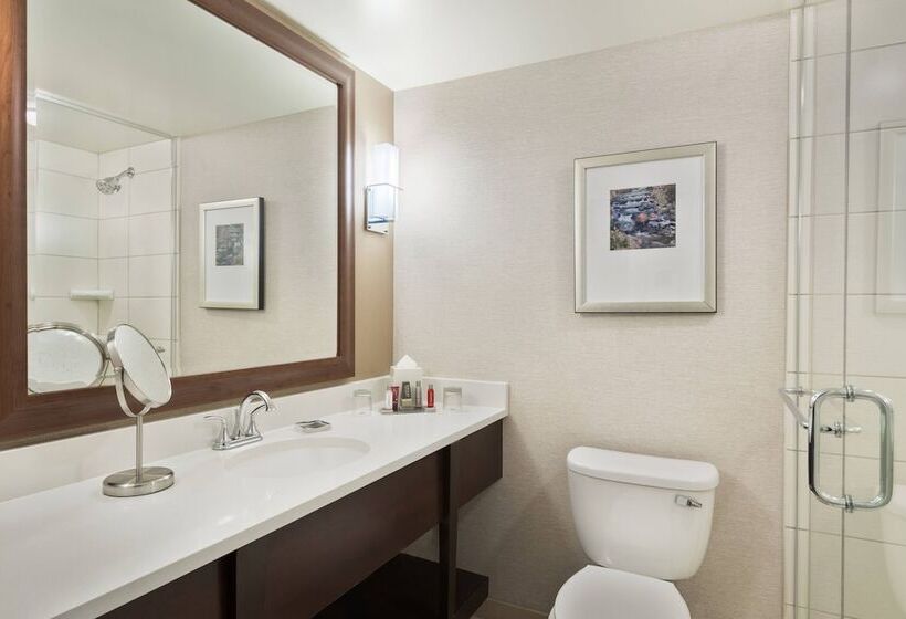 Номер Стандарт Двуспальная Кровать, Chicago Marriott Northwest