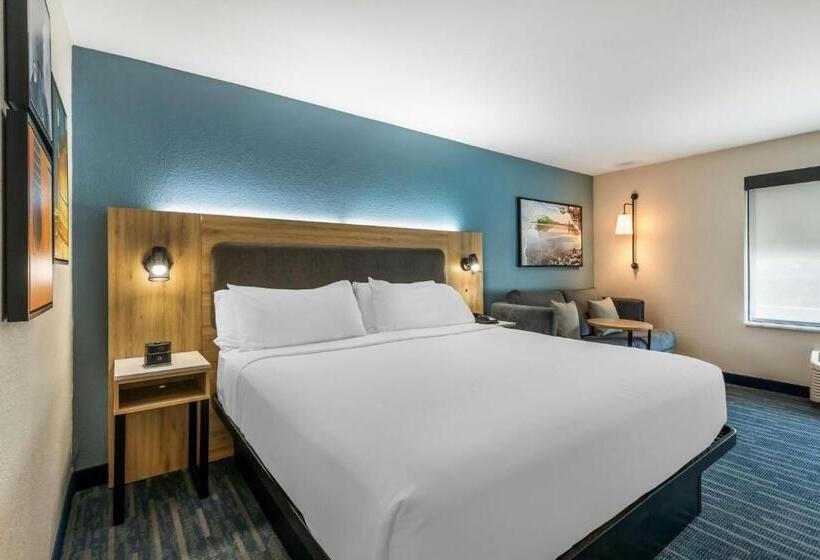 Quarto Estandar Cama King para Deficientes Físicos, City Express by Marriott Duluth