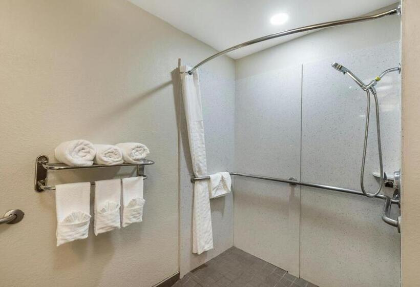 Quarto Estandar Cama King para Deficientes Físicos, City Express by Marriott Duluth