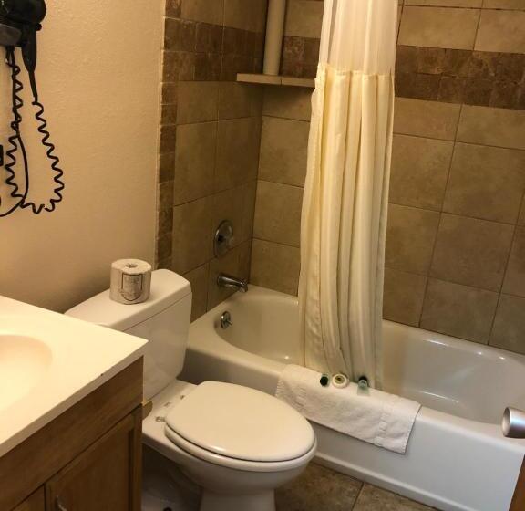带2个双人床的标准工作室, Downtown Value Inn